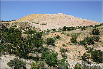 Yellow Rock